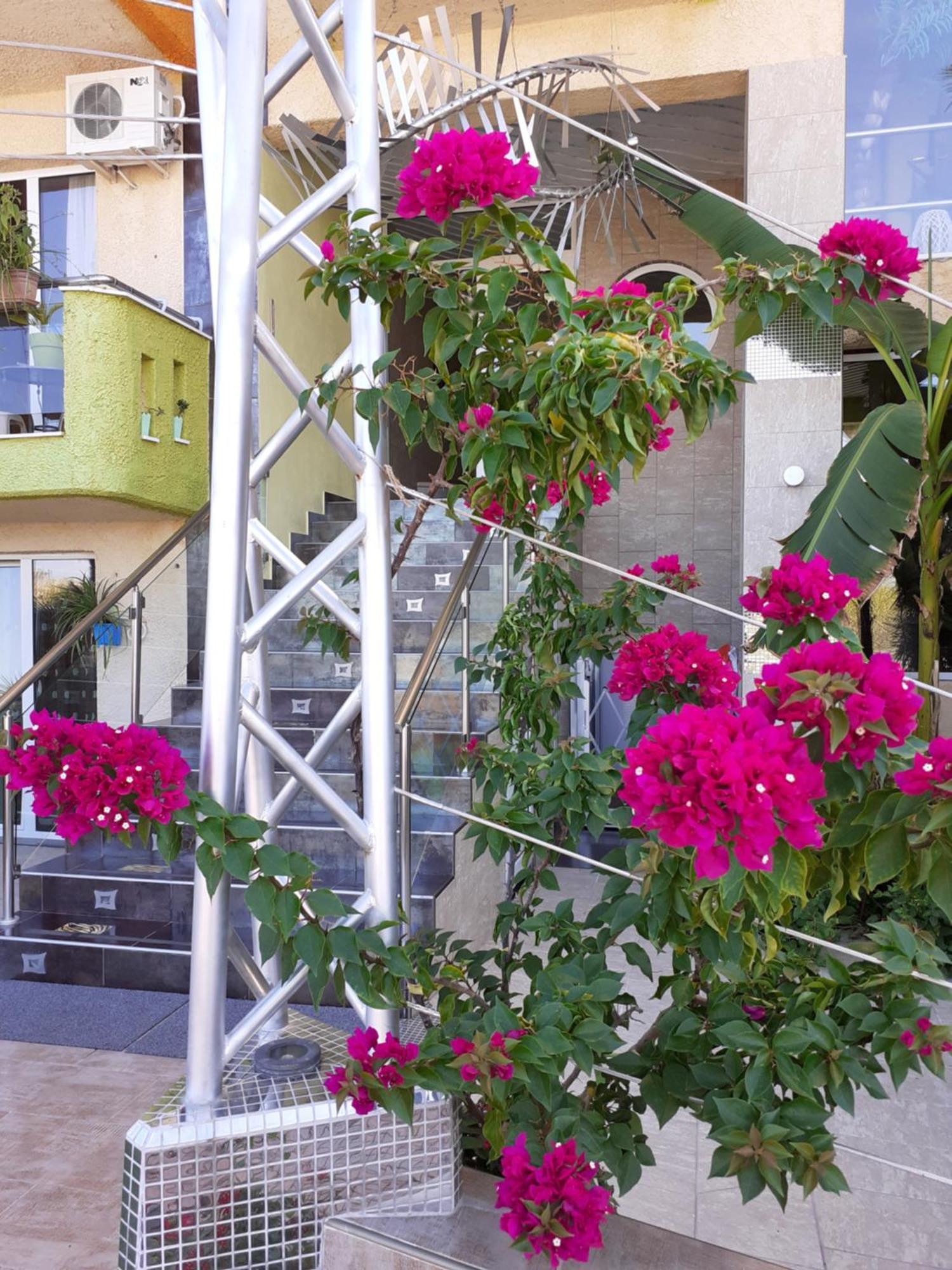 Lilalo Ηotel Paralía Kültér fotó